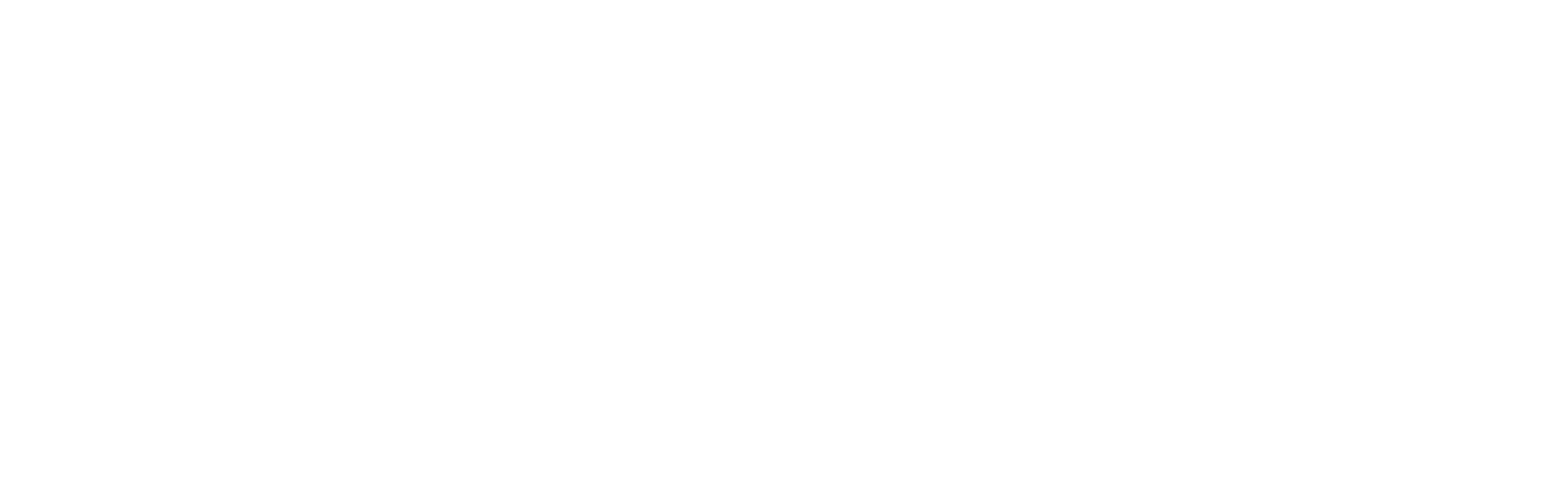 Logo Footer IPMS